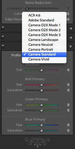 Camera Standard Vs Adobe Standard