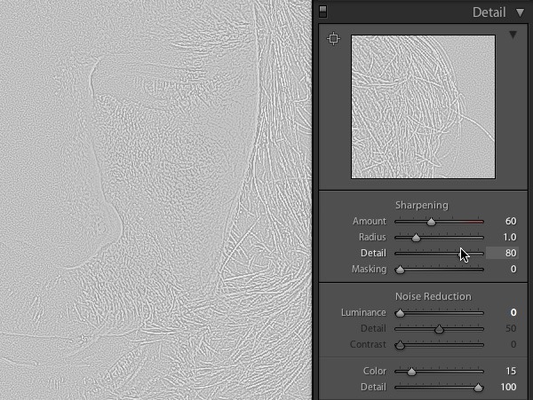 sharpening-07-detail-preview2