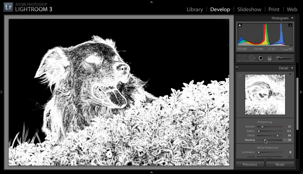 Understanding Sharping in Adobe Lightroom 3