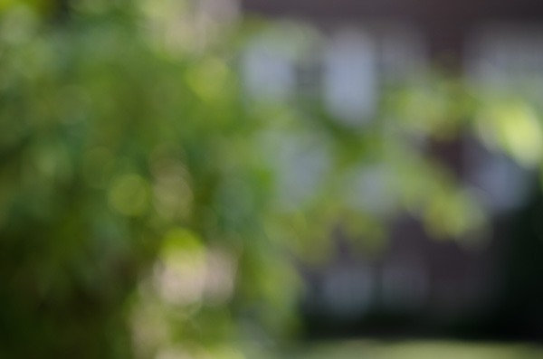 nikon75-150mm-bokeh-4562