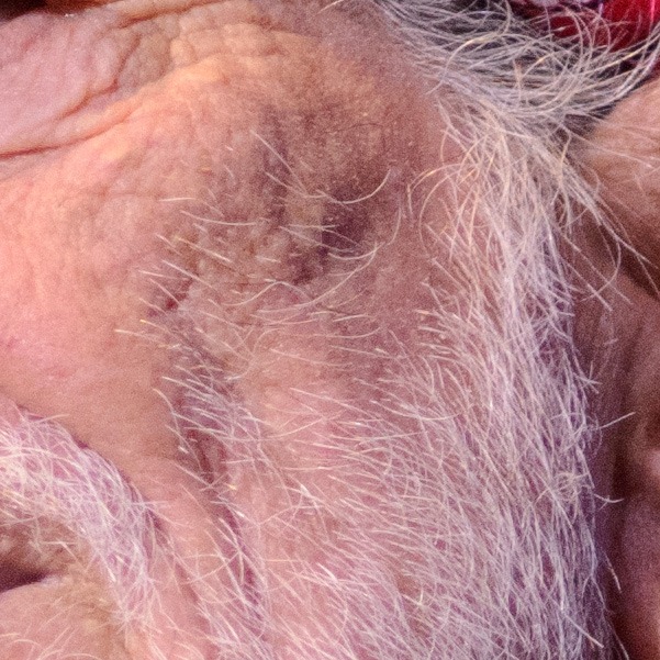 willie-nelson-4300-75-150-crop
