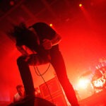 cancer_bats_TO_DSC2322