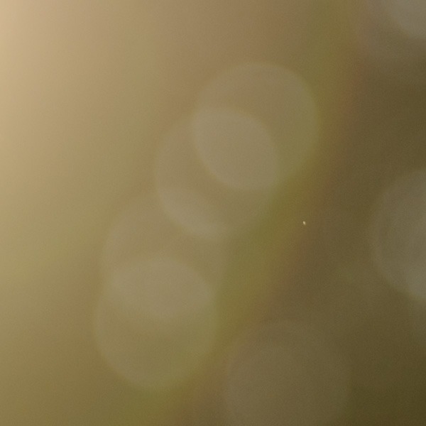 filter-76231-flare