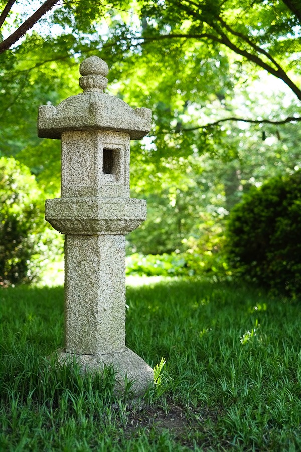 fuji-x-pro1-sample-images-2352