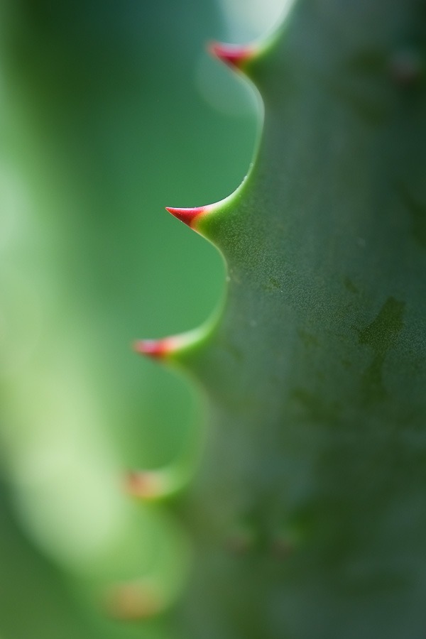fuji-x-pro1-sample-images-2672