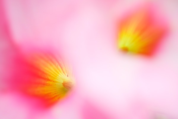 fuji-x-pro1-sample-images-2673