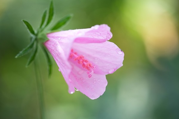 fuji-x-pro1-sample-images-2675