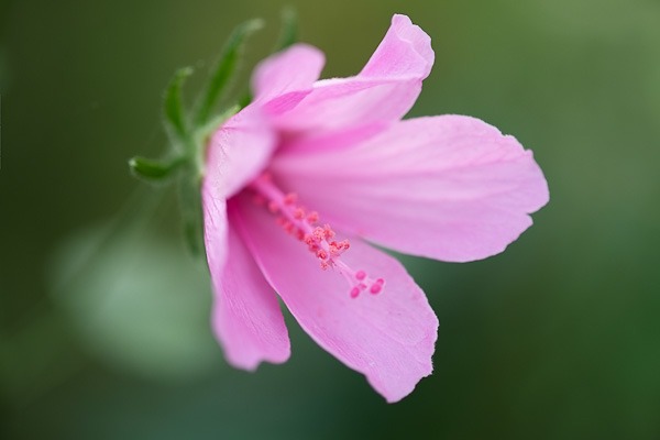 fuji-x-pro1-sample-images-2861