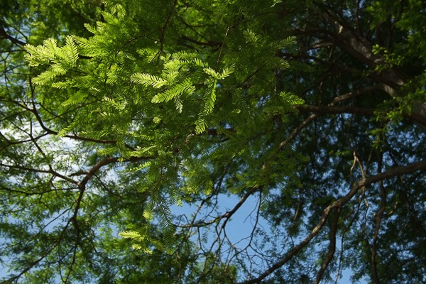 fuji-x-pro1-sample-images-2975