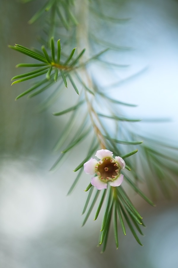 fuji-x-pro1-sample-images-2976