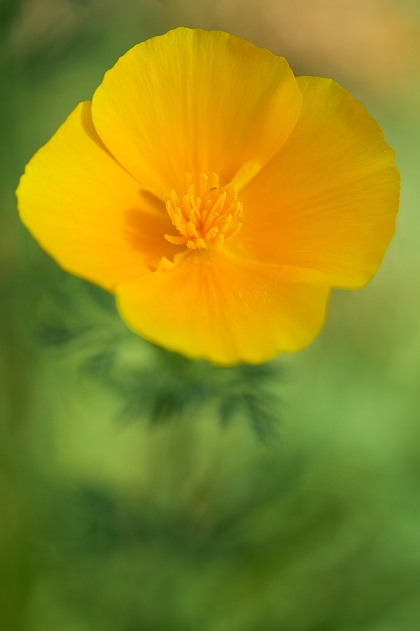 fuji-x-pro1-sample-images-2978