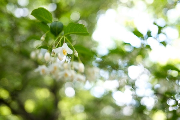 fuji-x-pro1-sample-images-2350