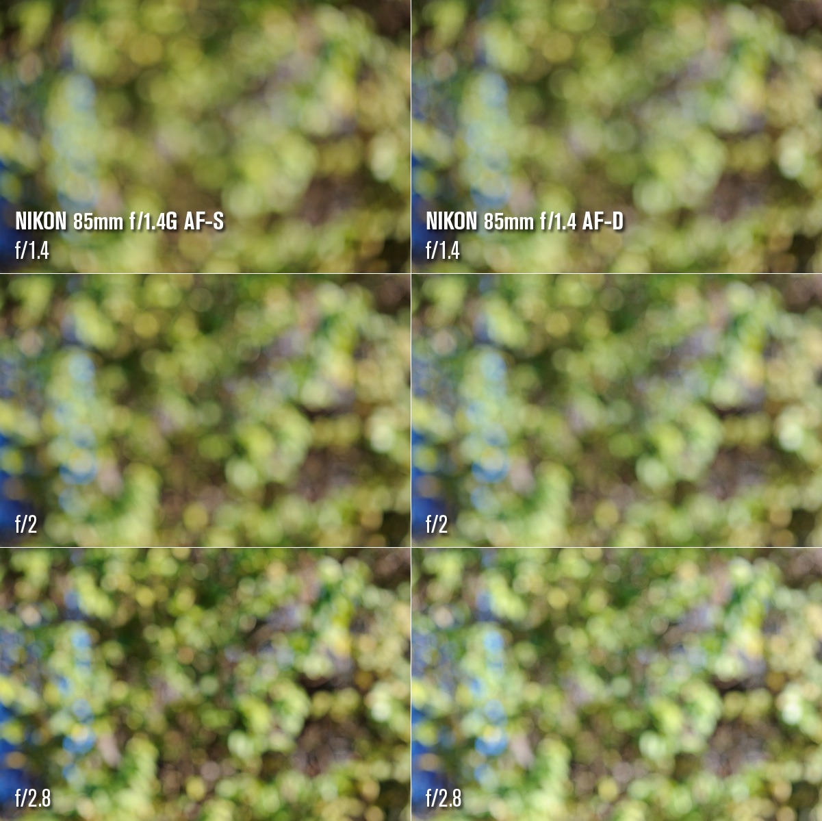 85mm-f14-bokeh-comparison-bushes