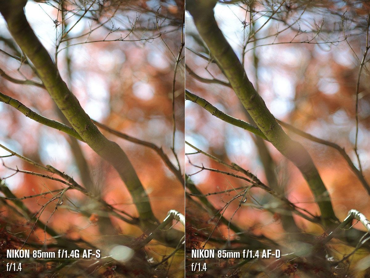 85mm-f14-bokeh-comparison-tree